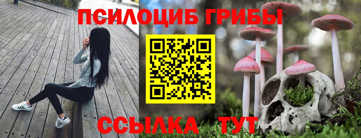 Псилоцибиновые грибы Psilocybine cubensis  Вход с VPN  Мыски  Псилоцибиновые грибы Magic Shrooms 