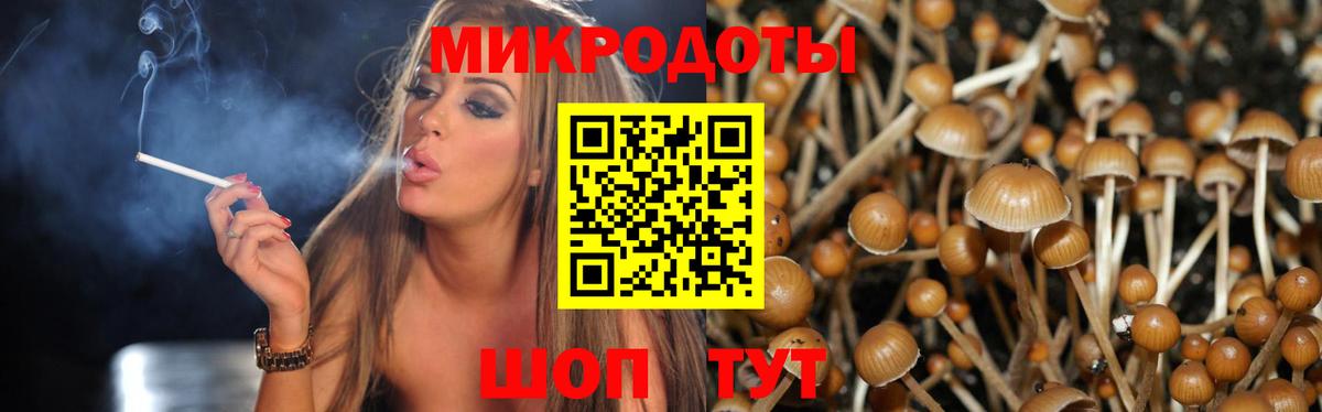 Псилоцибиновые грибы MAGIC MUSHROOMS Мыски