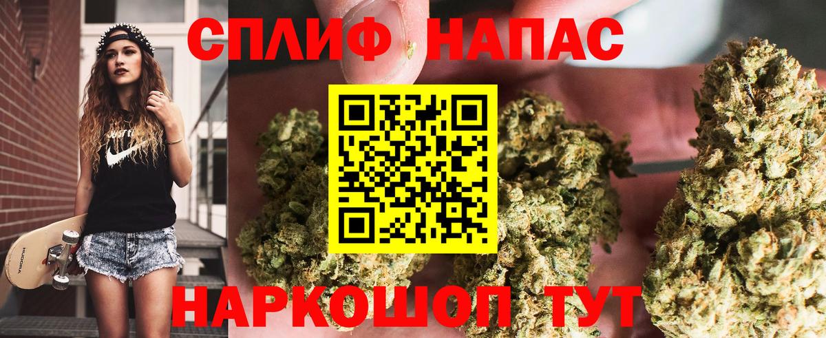 Мыски  МАРИХУАНА сатива  Марихуана гибрид  Конопля MAZAR  Вход с VPN  Каннабис марихуана 